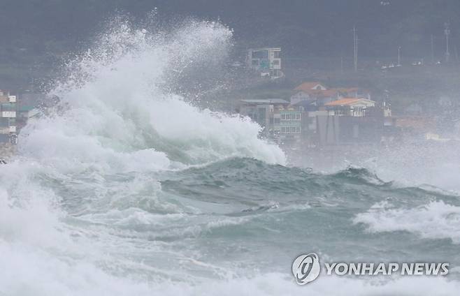 태풍 '바비'가 몰고 온 파도 (서귀포=연합뉴스) 제8호 태풍 '바비'가 한반도를 향해 북상하는 가운데 지난 25일 오전 제주 서귀포시 안덕면 사계리 해안가에 강한 파도가 몰아치고 있다. [연합뉴스 자료사진]