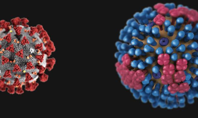 ⓒ미국 질병통제예방센터