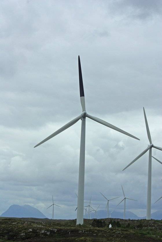 노르웨이 스묄라 지역의 풍력발전단지의 날개에 검은색 페인트가 칠해져 있다. Ecology and Evolution