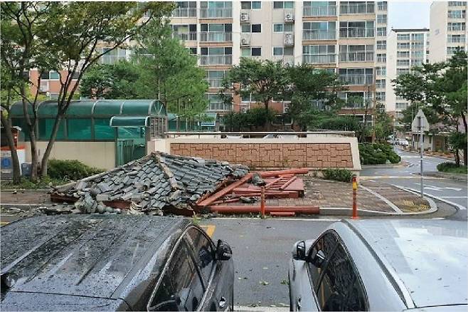 (사진=독자 제공)