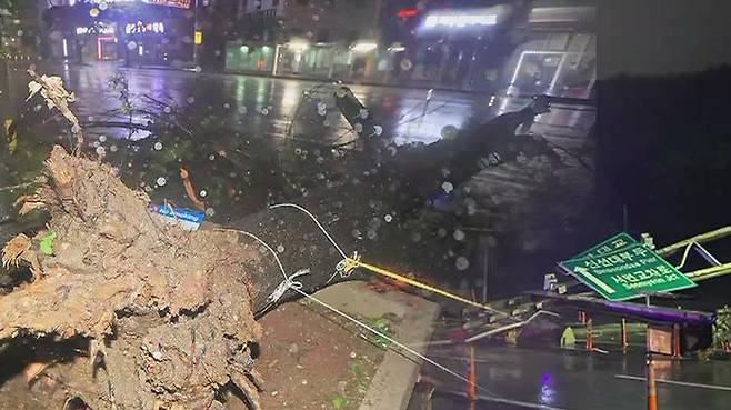 태풍 마이삭 피해