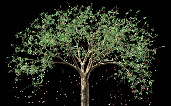 미디어 아티스트 제니퍼 스타인캠프의 대표작 ‘주디 크룩’ 장면들. 나무의 사계절을 애니메이션으로 압축해 보여주는 디지털 영상 설치 작품이다. 실제 나무를 찍은 게 아니라 작가가 직접 컴퓨터 소프트웨어로 구현했다. [사진 리안갤러리]