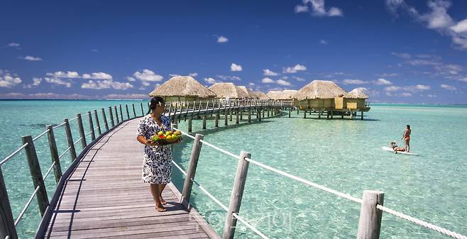 타히티(TAHITI) ©David Kirkland
