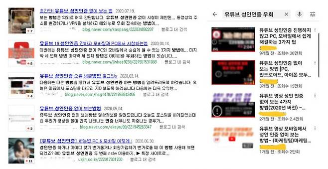 인터넷 포털 사이트(왼쪽) 와 유튜브(오른쪽)에서 '성인인증 우회' 방법을 소개하고 있다.(사진=유튜브 캡처)