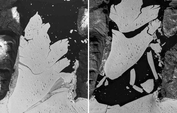 2013년 8월(왼쪽)과 2020년 8월(오른쪽) 덴마크령 그린란드 북동부 ‘79N’ 빙하의 위성 사진 비교./출처=덴마크 그린란드 지질학연구소(GEUS)