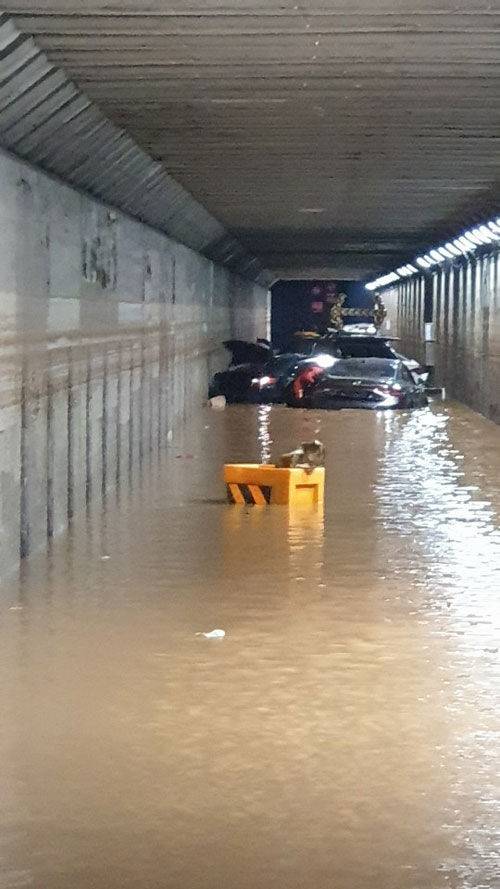 지난 7월 23일 호우경보 발효 중 침수로 3명이 숨진 부산 초량 제1지하차도 (사진=부산경찰청 제공, 연합뉴스)