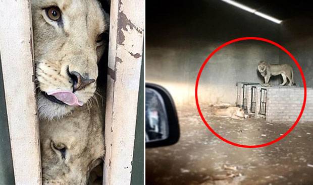 사진=프로 와일드라이프