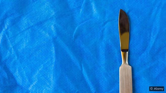 성형외과 의사들은 코로나19로 인한 봉쇄 조치가 내려진 뒤 예약이 급증했다고 밝혔다