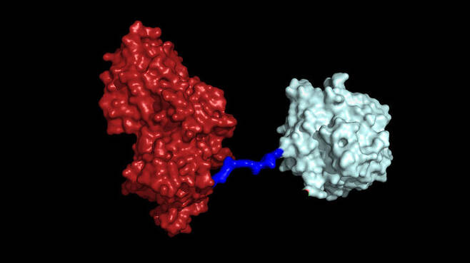 유전자 조작으로 연결된 MHETase-페테이스