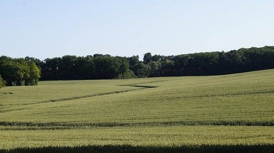 반면 나대지(裸垈地. 건축물 등이 없는 ‘빈 땅’을 의미)에 새로이 건물을 건축한다든지 하는 것은 관리의 범위를 넘는 것으로 본다.[사진 pixabay]