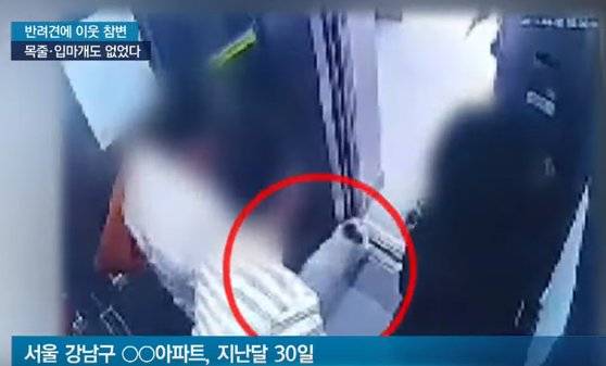 2017년 서울 유명 한식당 '한일관' 대표 김모 씨가 슈퍼주니어 멤버 겸 배우 최시원 가족의 프렌치불도그에 물리는 모습 [연합뉴스=SBS뉴스 캡쳐]