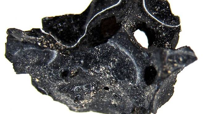 베수비오 화산폭발 희생자 머리서 발견된 유리질로 변한 ‘뇌 조각’