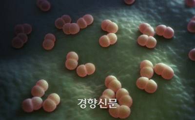 세종, 