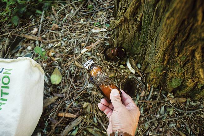 나무 밑둥에 박아둔 박카스병. 처음 이를 발견한 곽신혁씨는 “나무에 약을 주는 건 줄 알았다”며 황당해 했다.