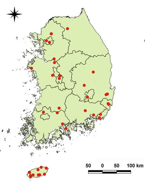 2019년 전국 핑크뮬리 식재지 조사지점(야외공원 및 카페 등) (사진=송옥주 의원실 자료)