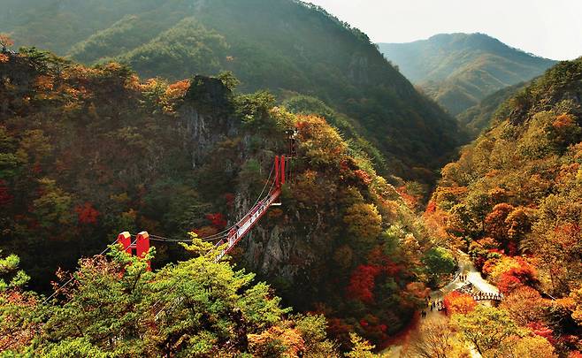 광덕산 정상 아래에서 내려다본 강천산 구름다리. 강천산과 광덕산을 잇는 구름다리는 가을단풍이 물들기 시작하면 절경을 감상할 수 있다. 사진 C영상미디어