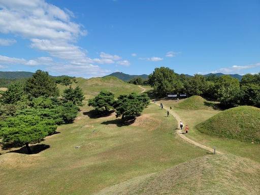 불로동 고분군 산책로