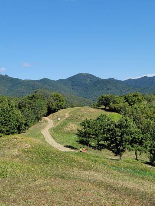 불로동 고분군 단산지 가는 산책로