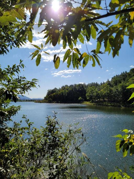 봉무공원 단산지 윤슬