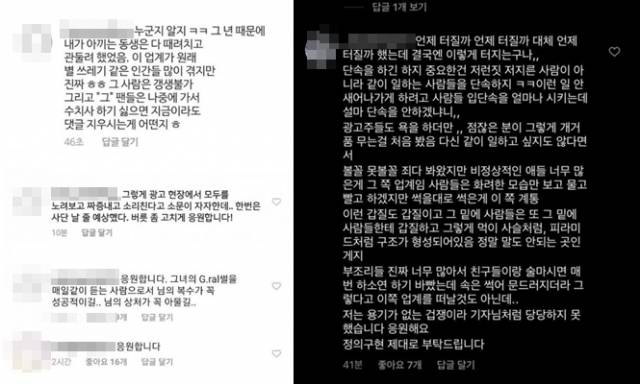 업계 관계자로 추정되는 댓글   온라인 커뮤니티 캡처