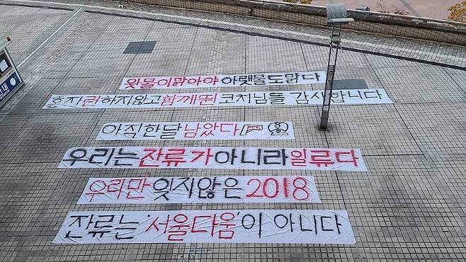 사진=FC서울 팬 수호신 공식 SNS 캡처