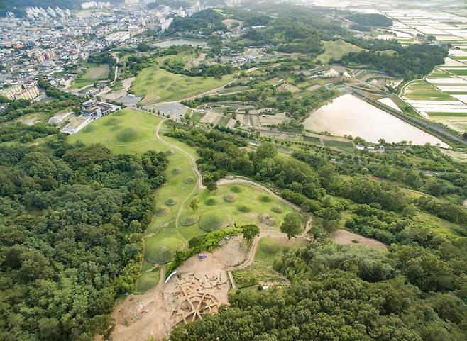 창녕 교동 고분 조사 지역 전경. /국립가야문화재연구소