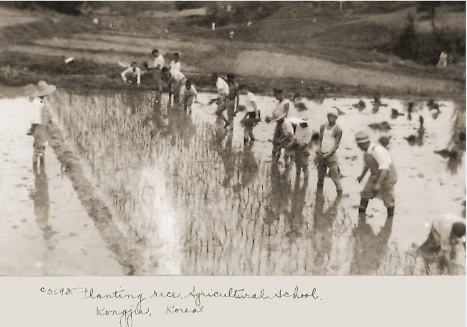 농민들이 모내기를 하고 있다.