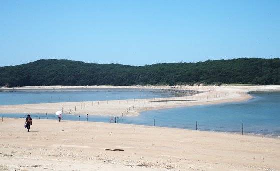 8월 25일 무의도에서 바라본 실미도. 썰물 때 도보로 두 섬을 오갈 수 있다. 우상조 기자
