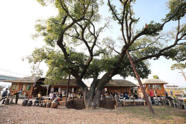 사문진 주막촌은 막걸리, 잔치국수, 국밥, 부추전, 두부 등 다양한 전통 먹거리를 판매한다. ⓒ박준규