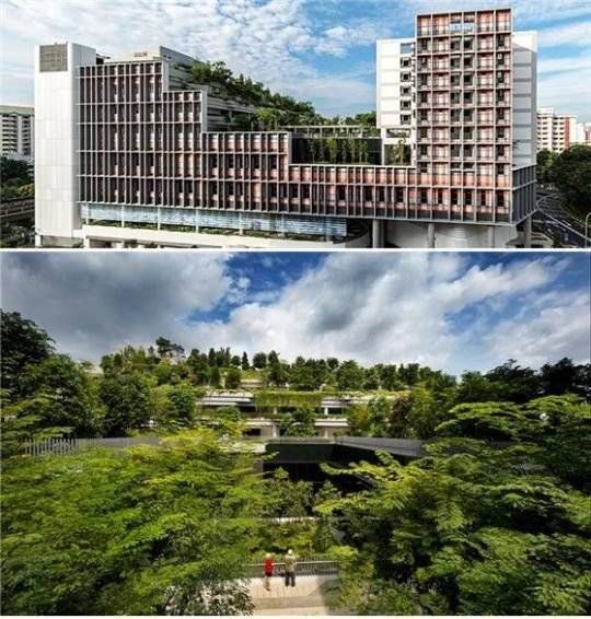 캄풍 애드머럴티 외부 및 내부 전경. 녹색공간과 지역사회활동공간이 많아 도시속 공원과 같은 역할을 하고 있다. [사진 싱가포르주택개발청 홈페이지]