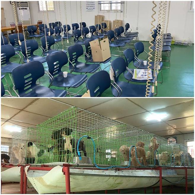 전남 나주유기동물보호센터 (위) 경매장 (아래) 보호센터