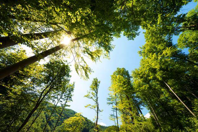 ©게티이미지뱅크