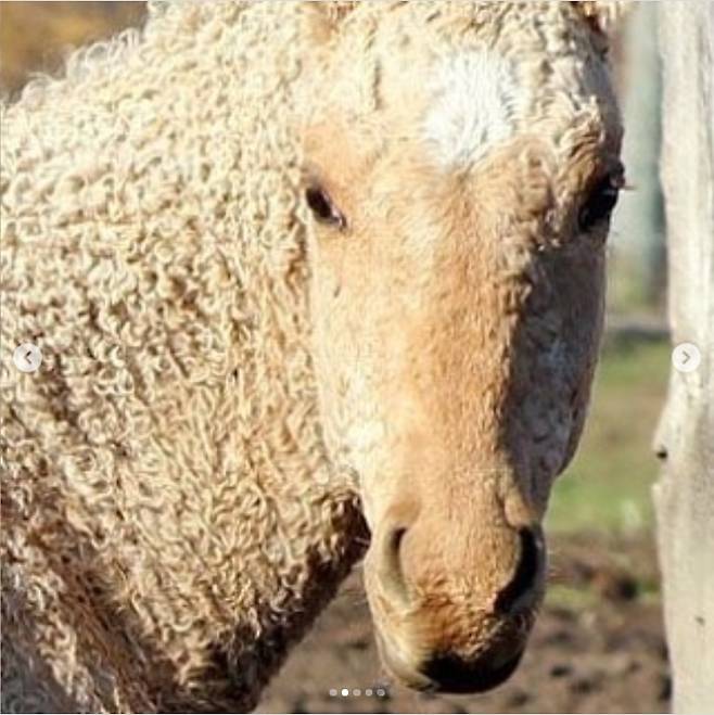 (사진=인스타그램)