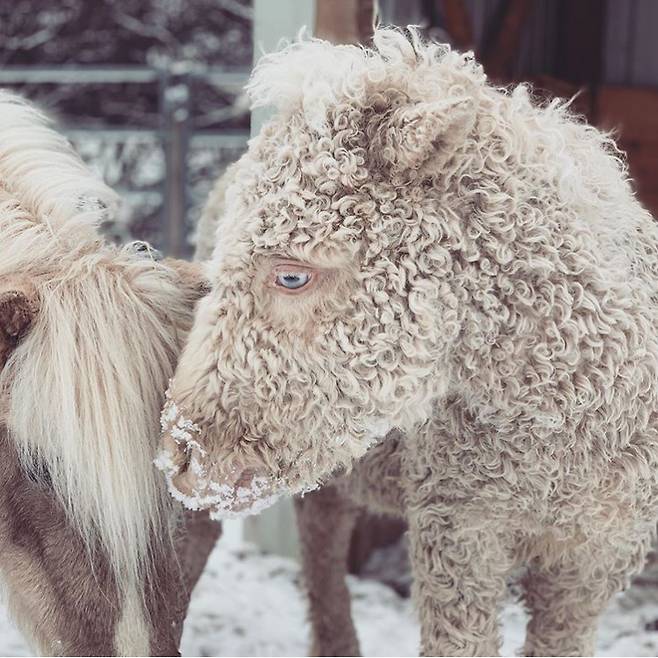 (사진=인스타그램)