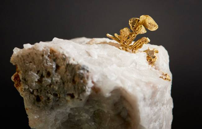 금(Gold)  암석 사이에서 금이 용출되며 결정으로 변해 마치 꽃처럼 보인다.