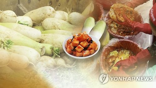 김장철 코앞 [연합뉴스TV 제공]