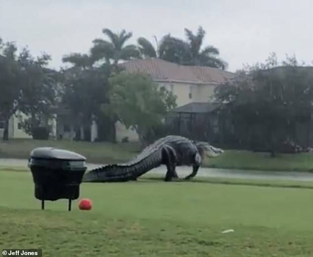 사진=제프 존스