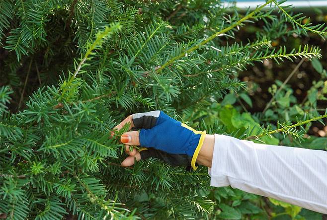 에코 매니저분들의 지식이 호수처럼 넓다