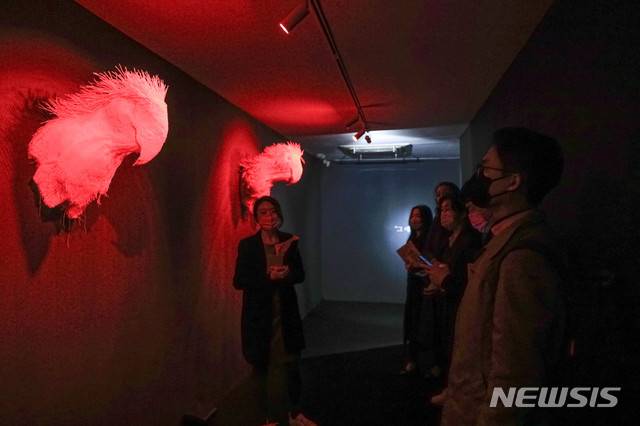 [서울=뉴시스] 박민석 기자 = 취재진들이 19일 오전 서울 용산구 블루스퀘어 네모에서 열린 편견과 혐오의 인류사를 다룬 아포브 전시회 '너와 내가 만든 세상'의 프레스투어에서 작품을 감상하고 있다. 2020.11.19. mspark@newsis.com