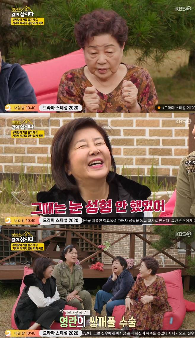 박원숙의 같이 삽시다 강부자 김영란 박원숙 혜은이