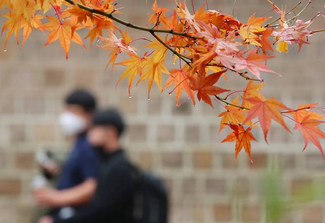 전국적으로 가을비가 내린 18일 오전 서울 중구 덕수궁 돌담길에서 학생들이 등교하고 있다. [연합]