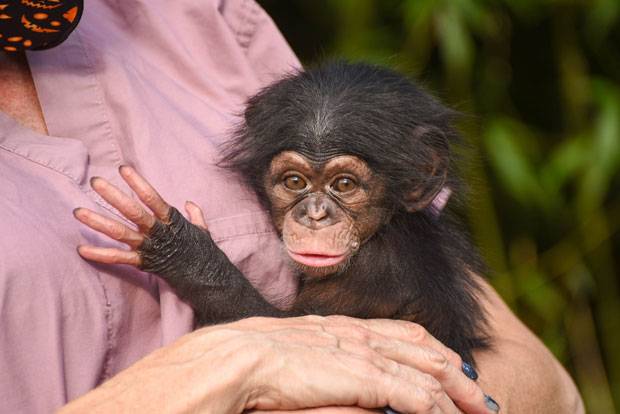 출처=메릴랜드동물원 페이스북