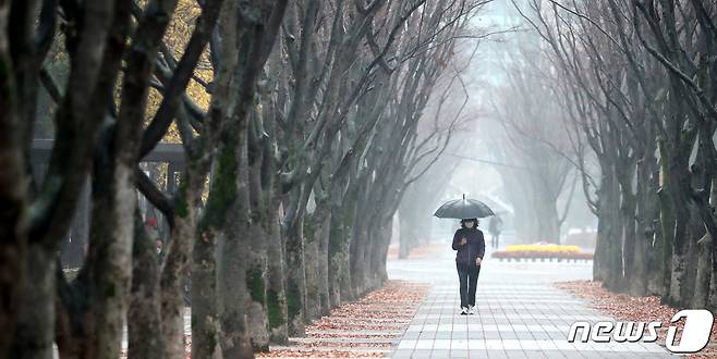 대전 서구 보라매공원에서 시민들이 우산을 쓰고 발길을 재촉하고 있다. 뉴스1 © News1 김기태 기자