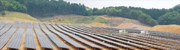 정부가 탈원전 정책을 추진한 이후 전국 농촌지역 곳곳에 태양광발전소 분양을 알리는 현수막이 걸리고 있다. 임야에 설치된 태양광발전소 패널과 분양 광고.  /한경DB