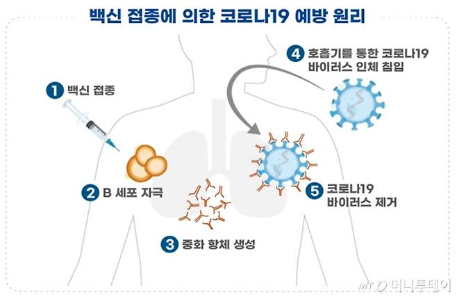 /사진제공=식약처