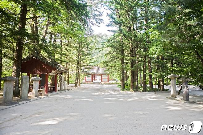 보현사의 역사를 기록한 여러 비석들. 조계문과 해탈문 사이에 모아져 있다. (미디어한국학 제공) 2020.11.28.© 뉴스1