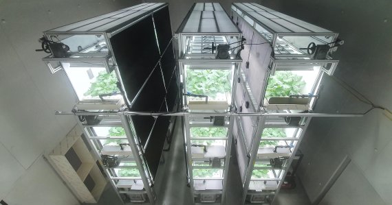 한국과학기술연구원 스마트팜융합연구센터 노주원 박사팀이 인공광형 식물공장에서 다양한 칼륨 비율의 배양액 조건에서 케일을 재배하고 있다. KIST 제공