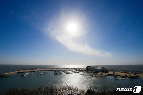 왕산마리나 전경. (뉴스1 DB) © 뉴스1 /사진=뉴스1