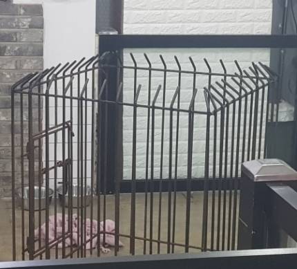 진주 애견호텔이 곰순이를 가둔 케이지./사진=곰순이 보호자