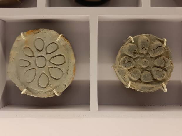 전라도 일대의 후백제 관련 유적에서는 여러 무늬가 새겨진 수막새 등 다양한 종류의 기와가 출토되고 있다. 연꽃잎, 소용돌이 등의 무늬를 질박하게 수작업으로 새겨 넣었는데, 신라의 도읍 경주에서 출토된 정교한 장식기와들과는 판이한 이질적 면모를 보여준다.